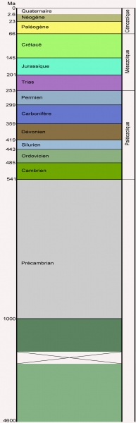 Image couleur représentant les temps géologiques à l'aide de bandes colorées