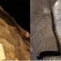Double colour image of brown rock with three fossilized bumps and close-up