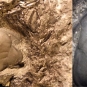Double image couleur : roche brune avec trois bosses fossilisées et gros plan