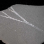 Photographie couleur d’une roche grise striée d’argent