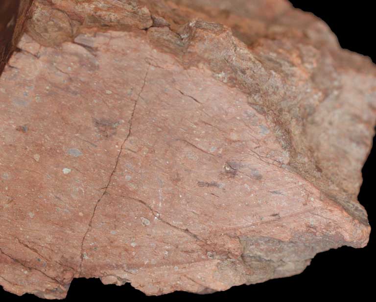 Image couleur d’une roche brun clair