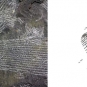 Double colour image of black rock with criss-crossed gray lines and drawing of animal in life