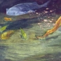 Colour image of water and colourful fish